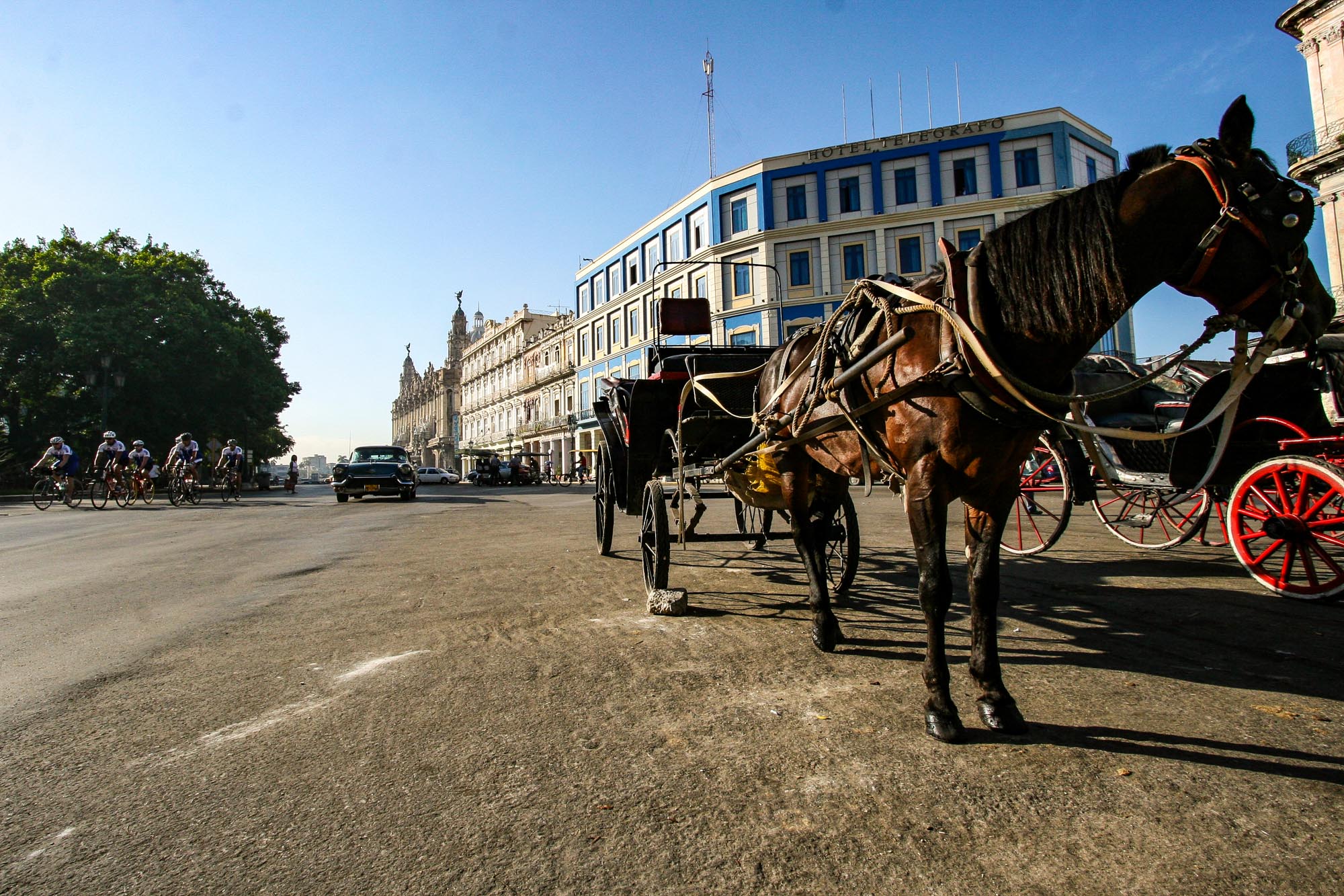Im Vordergrund eine Pferdekutsche in Havanna. Von hinten kommen Rennradfahrer und Autos.